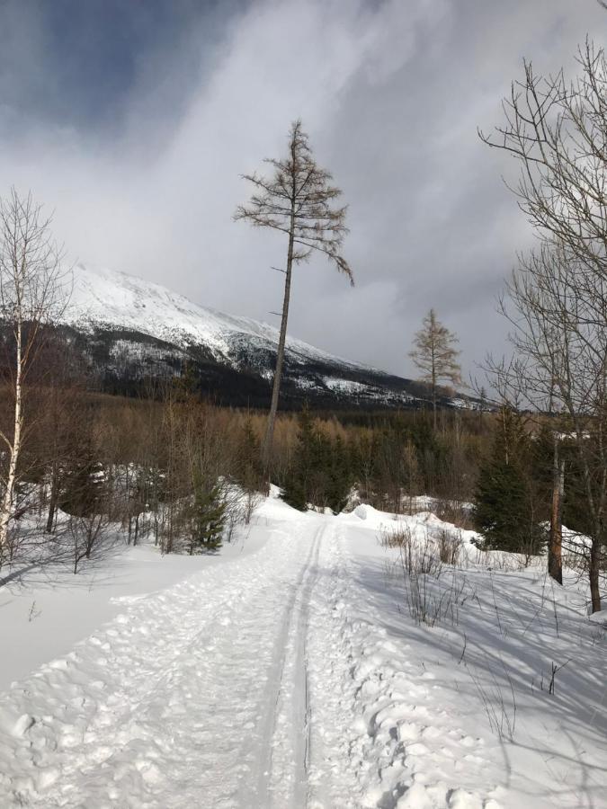 Bellevue Apartments Vila Vlasta Stary Smokovec Vysoké Tatry المظهر الخارجي الصورة