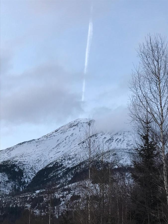 Bellevue Apartments Vila Vlasta Stary Smokovec Vysoké Tatry المظهر الخارجي الصورة